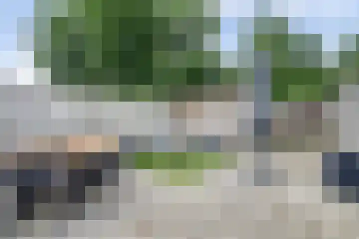 Zr Will van Hooijdonkstraat 17 Putte thumbnail 26