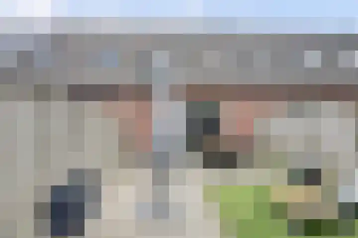 Zr Will van Hooijdonkstraat 17 Putte thumbnail 27