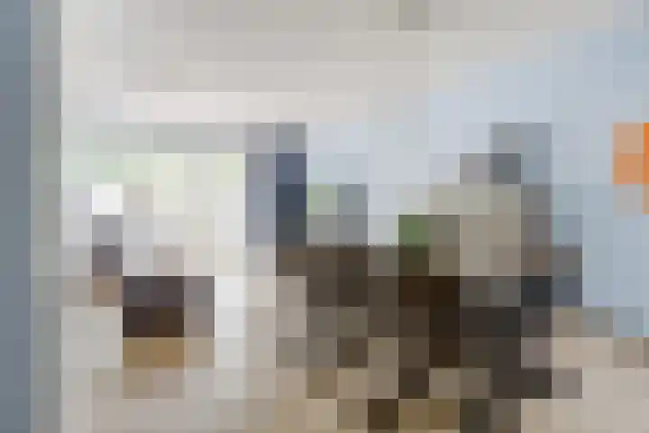 Zr Will van Hooijdonkstraat 17 Putte thumbnail 5