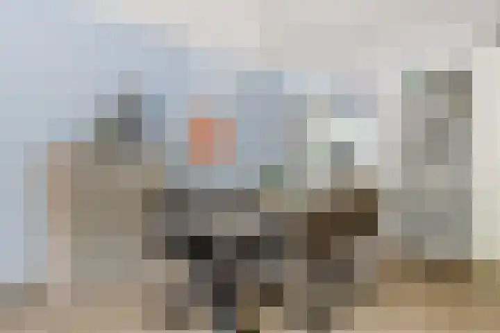 Zr Will van Hooijdonkstraat 17 Putte thumbnail 9