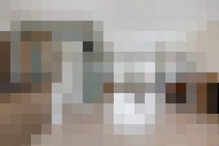 Zudendorpweg 13 't Harde thumbnail 10
