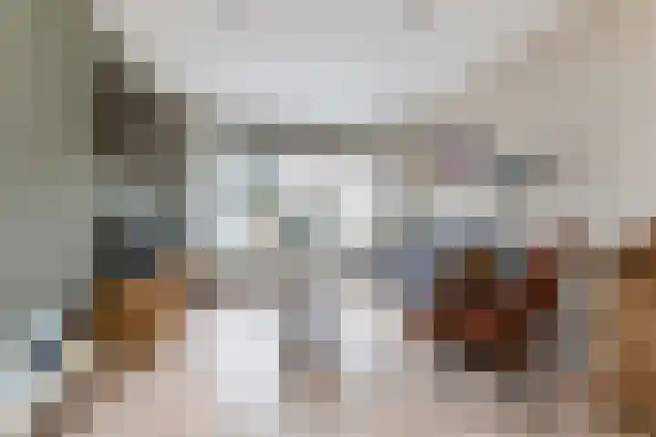 Zudendorpweg 13 't Harde thumbnail 11