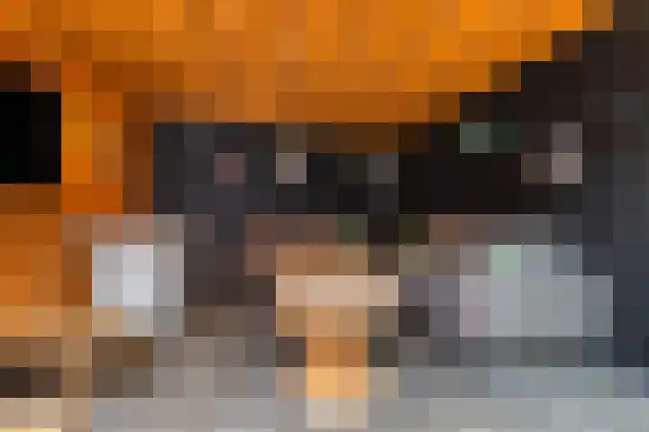 Zudendorpweg 13 't Harde thumbnail 35