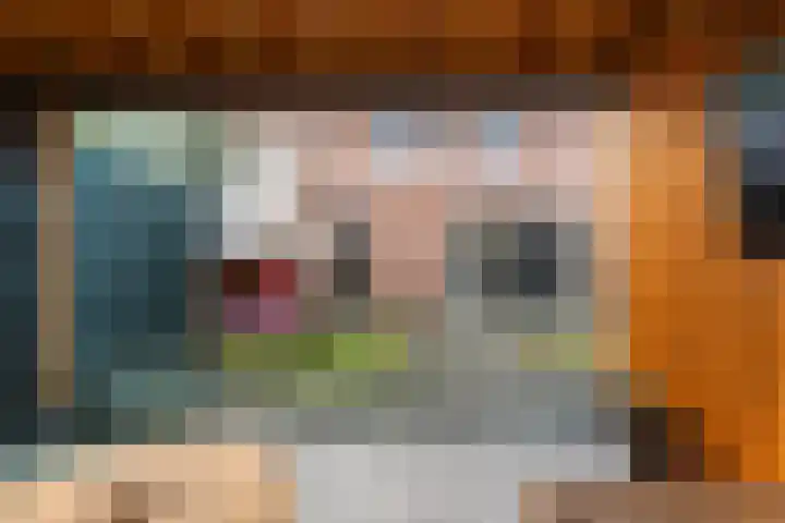 Zudendorpweg 13 't Harde thumbnail 36