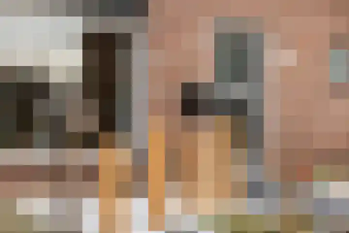 Zudendorpweg 13 't Harde thumbnail 6