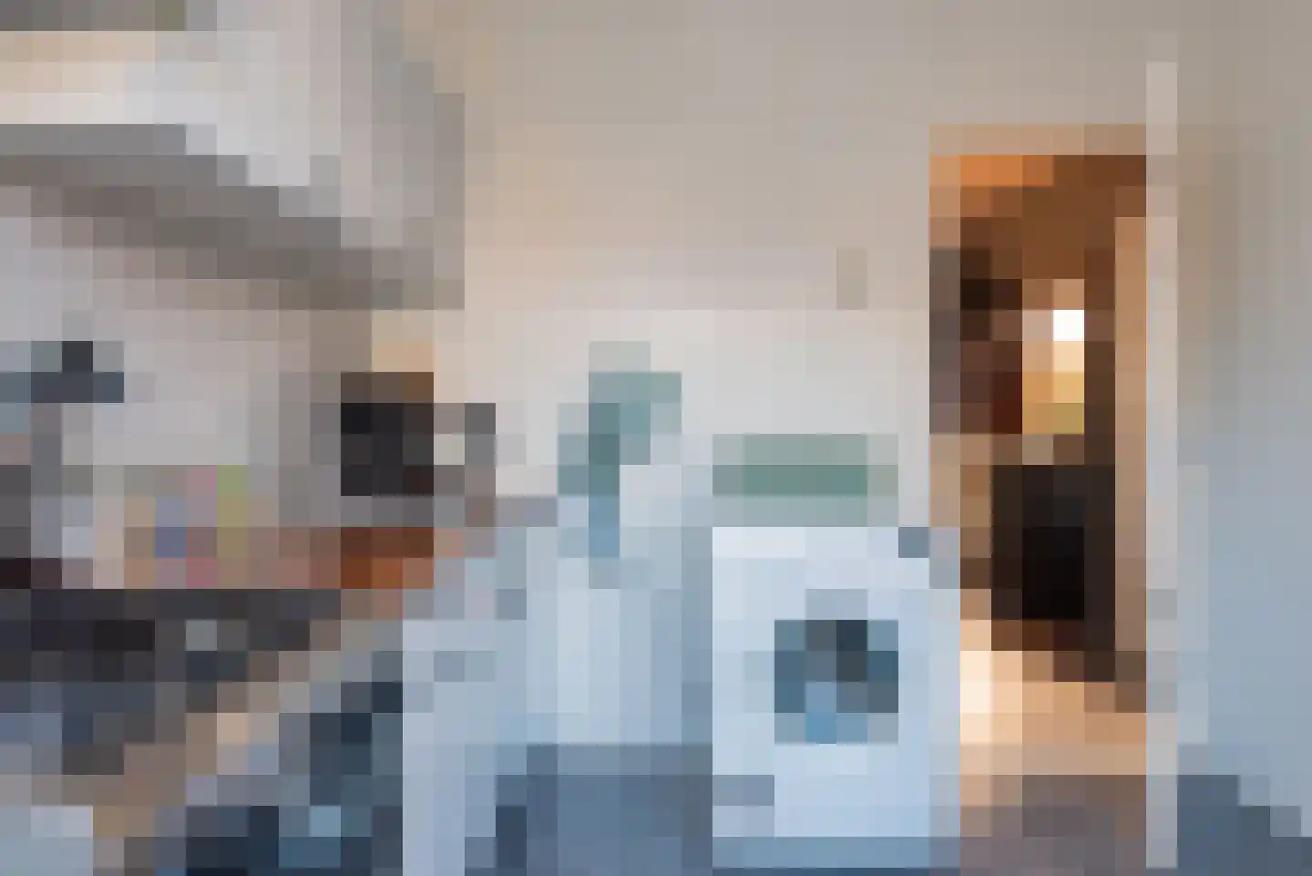 Zudendorpweg 25 't Harde thumbnail 15