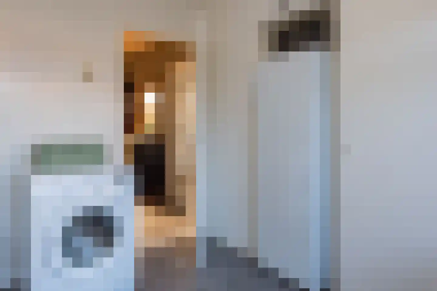 Zudendorpweg 25 't Harde thumbnail 16