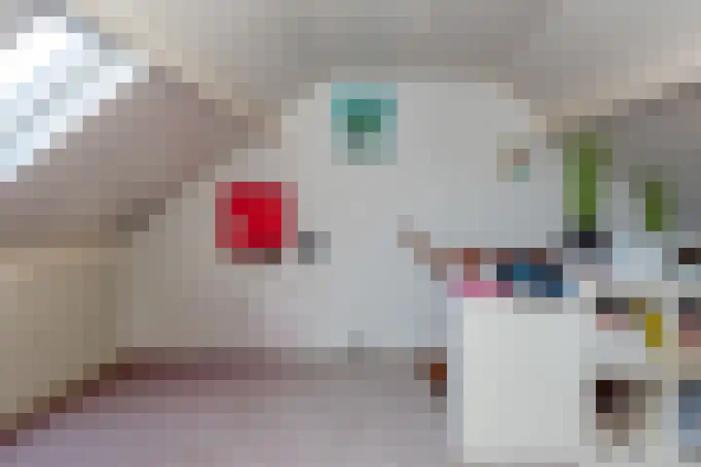 Zudendorpweg 25 't Harde thumbnail 27