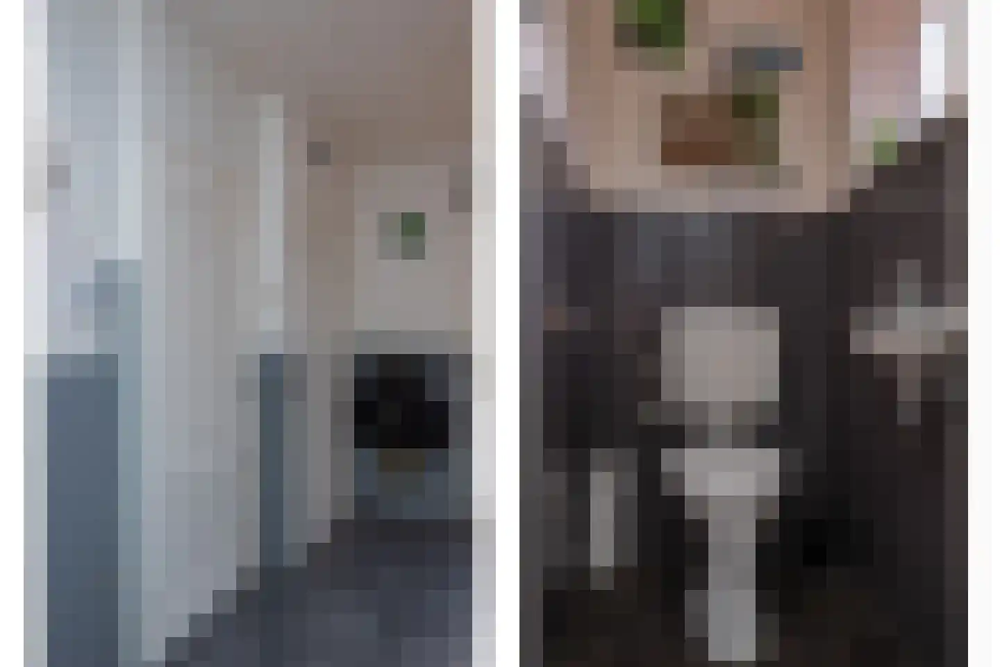 Zudendorpweg 25 't Harde thumbnail 5