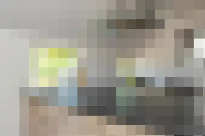 Zuid 15 Elsloo thumbnail 10