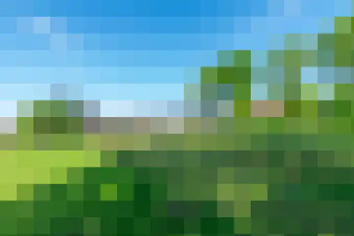 Zuid 15 Elsloo thumbnail 16