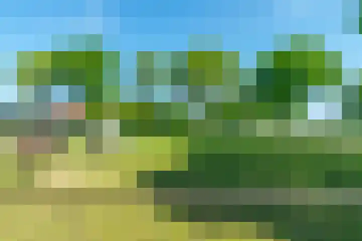 Zuid 15 Elsloo thumbnail 17