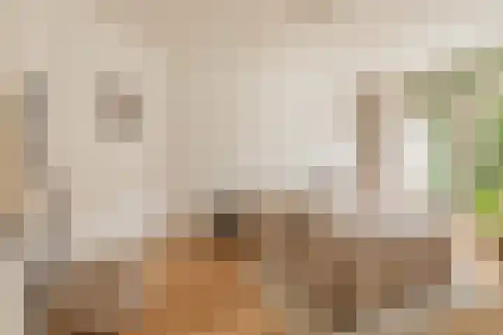 Zuid 15 Elsloo thumbnail 18