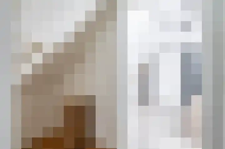 Zuid Achterweg 2 Ooltgensplaat thumbnail 16