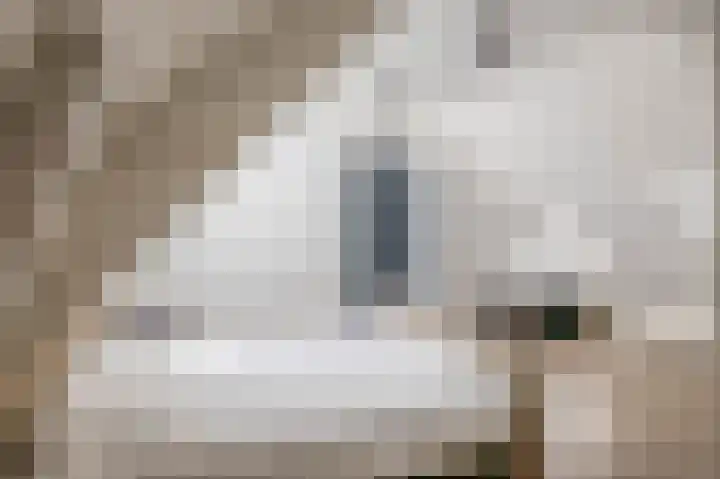 Zuid Achterweg 2 Ooltgensplaat thumbnail 17
