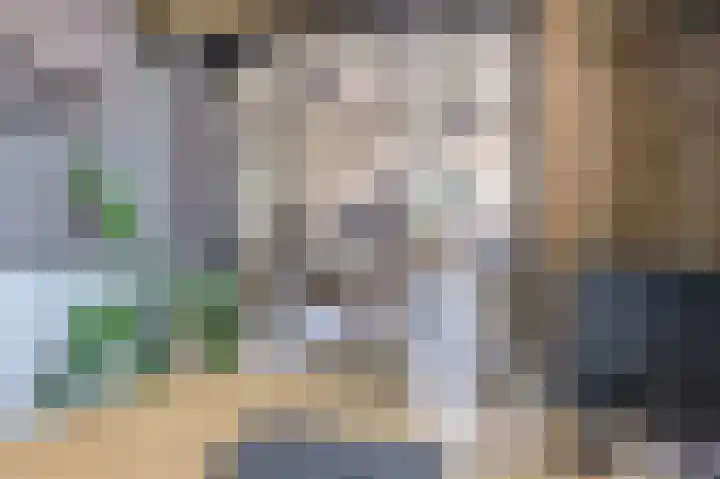 Zuid Achterweg 2 Ooltgensplaat thumbnail 31