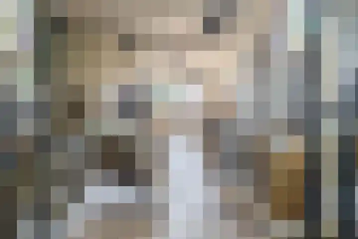 Zuid Achterweg 2 Ooltgensplaat thumbnail 32