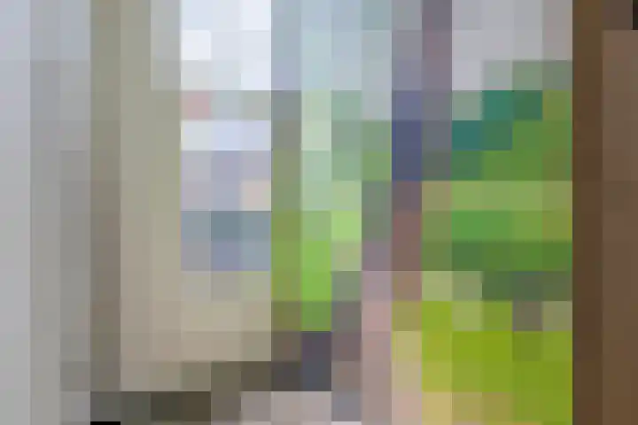 Zuid Achterweg 2 Ooltgensplaat thumbnail 4