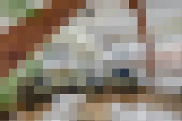 Zuid Achterweg 2 Ooltgensplaat thumbnail 7