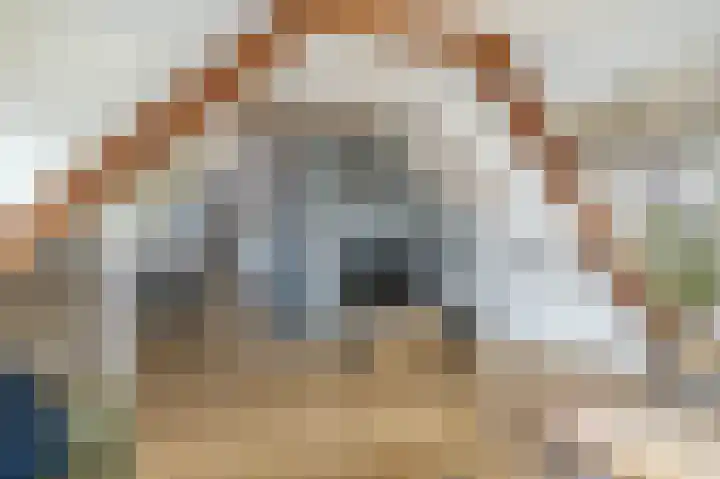 Zuid Achterweg 2 Ooltgensplaat thumbnail 8