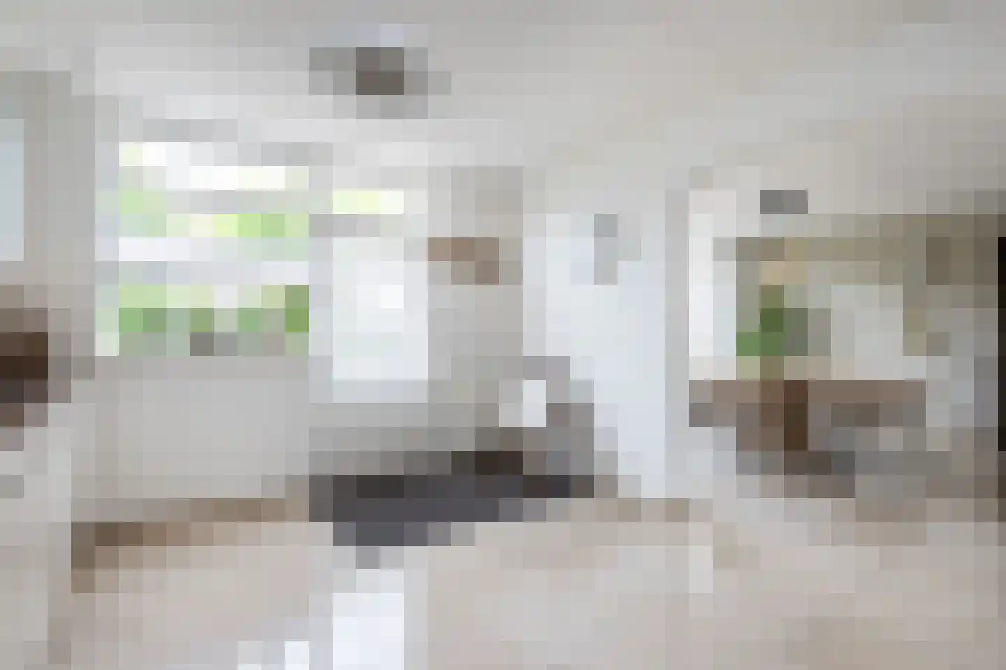 Zuid Achterweg 25 Ooltgensplaat thumbnail 15