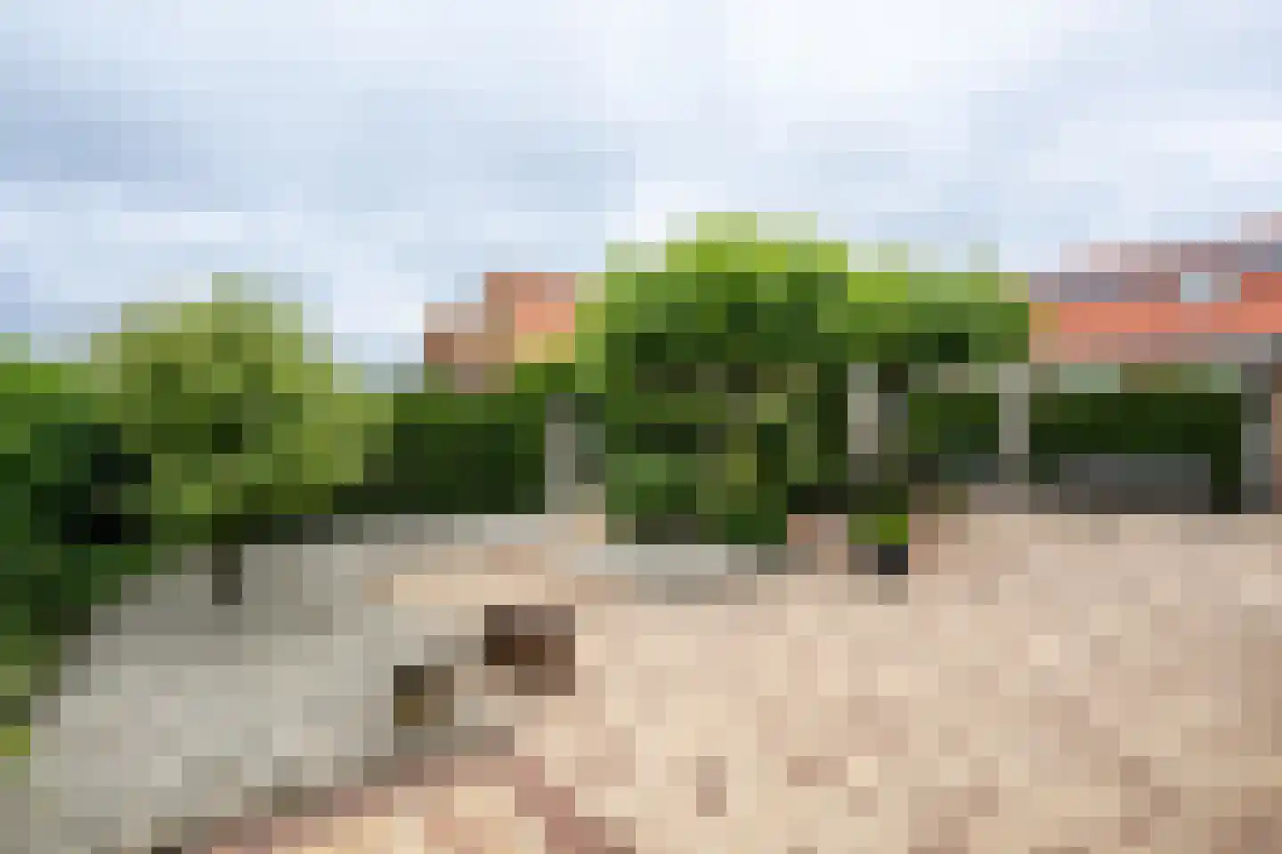 Zuid Achterweg 25 Ooltgensplaat thumbnail 29