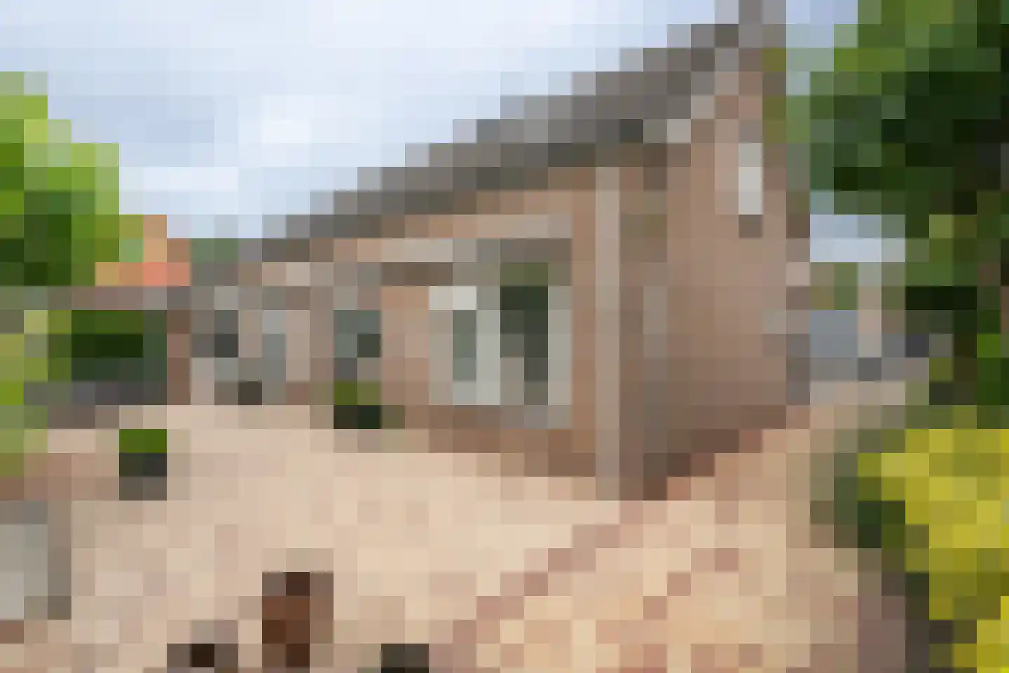 Zuid Achterweg 25 Ooltgensplaat thumbnail 30
