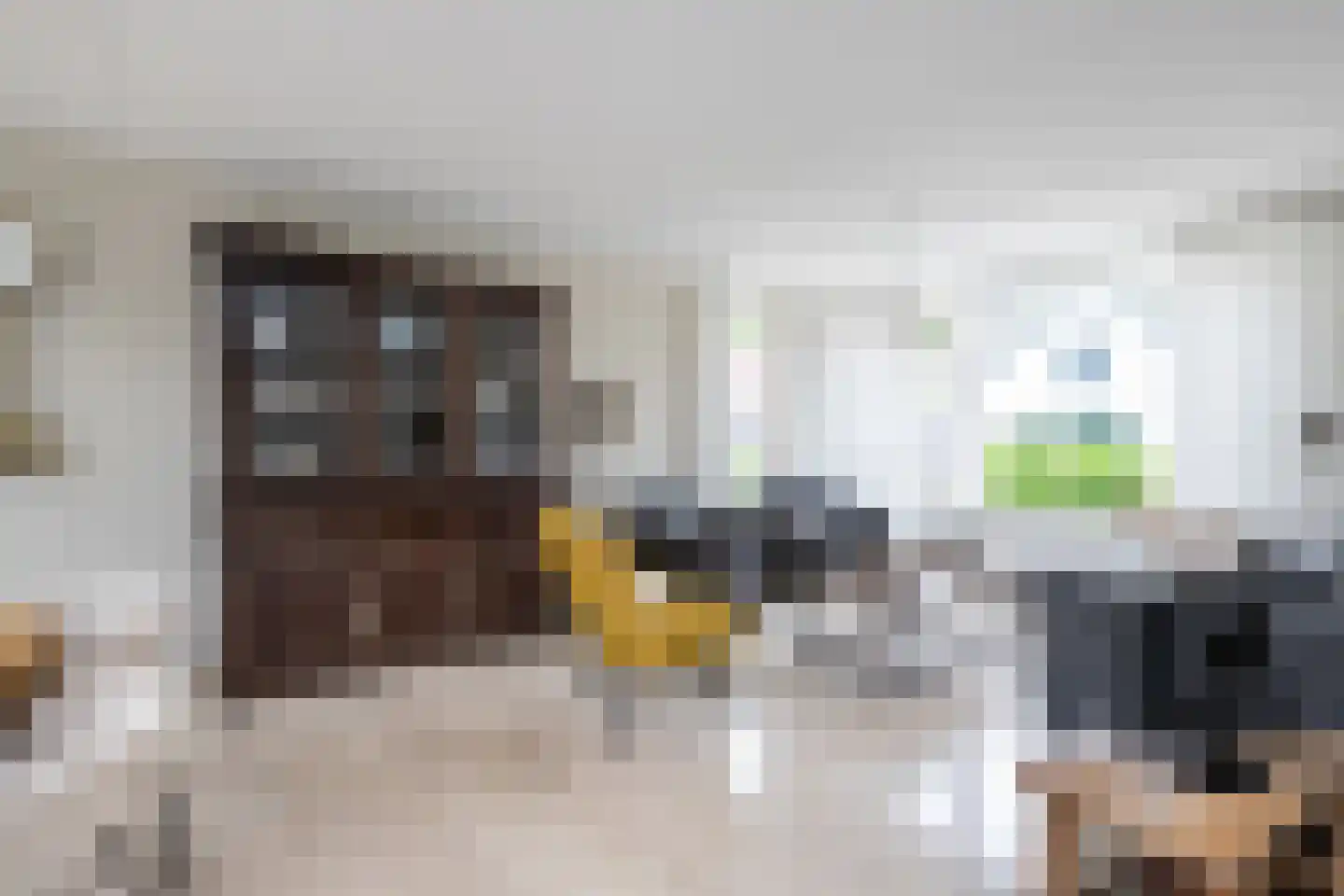 Zuid Achterweg 25 Ooltgensplaat thumbnail 8