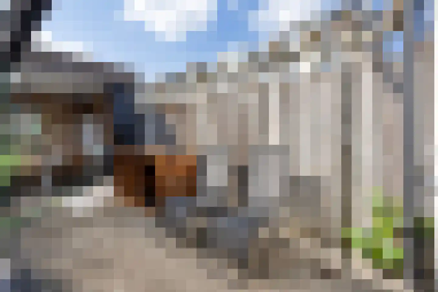 Zuid-Australië 2 Drunen thumbnail 31