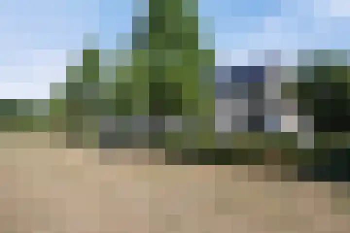 Zuid-Australië 4 Drunen thumbnail 31
