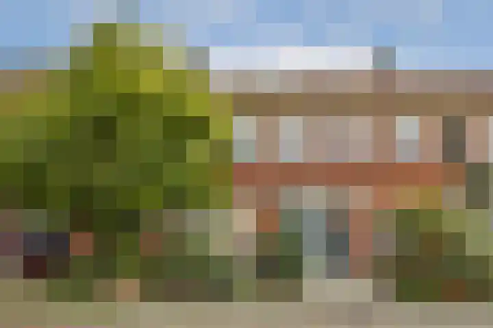 Zuid-Bevelandstraat 10 Amsterdam thumbnail 4