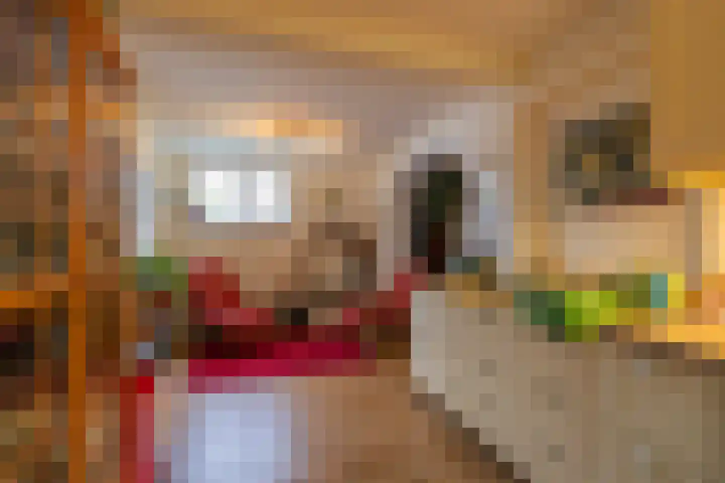 Zuid Bosweg 13 Noordgouwe thumbnail 12