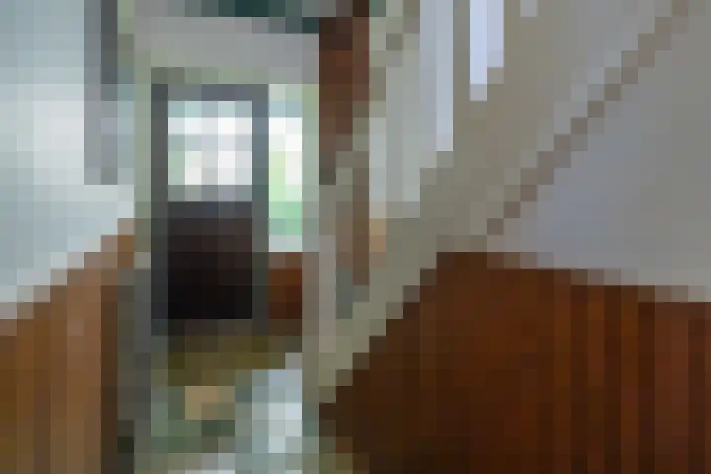 Zuid Bosweg 13 Noordgouwe thumbnail 16