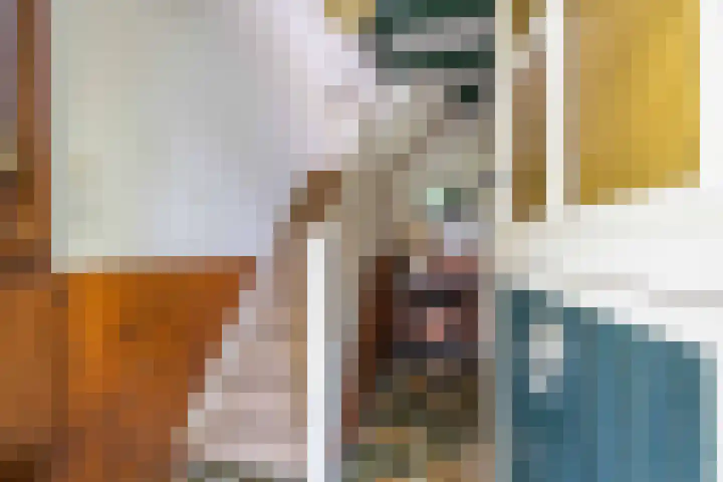 Zuid Bosweg 13 Noordgouwe thumbnail 17