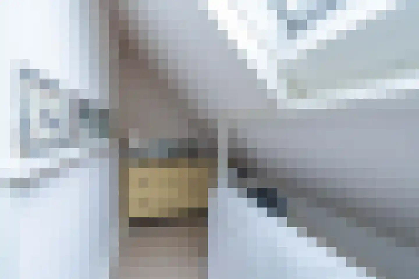 Zuid Bosweg 13 Noordgouwe thumbnail 19