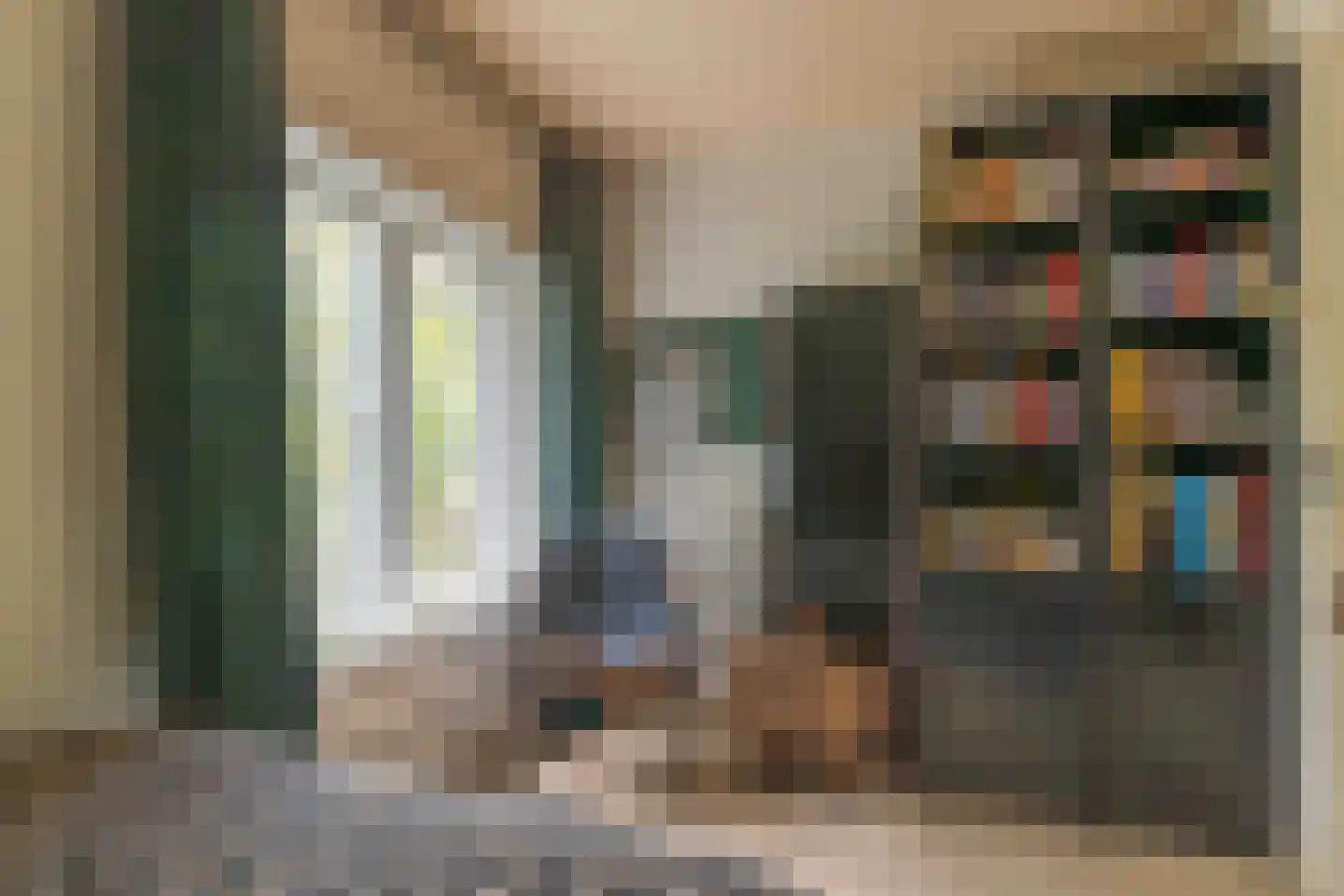 Zuid Bosweg 13 Noordgouwe thumbnail 21