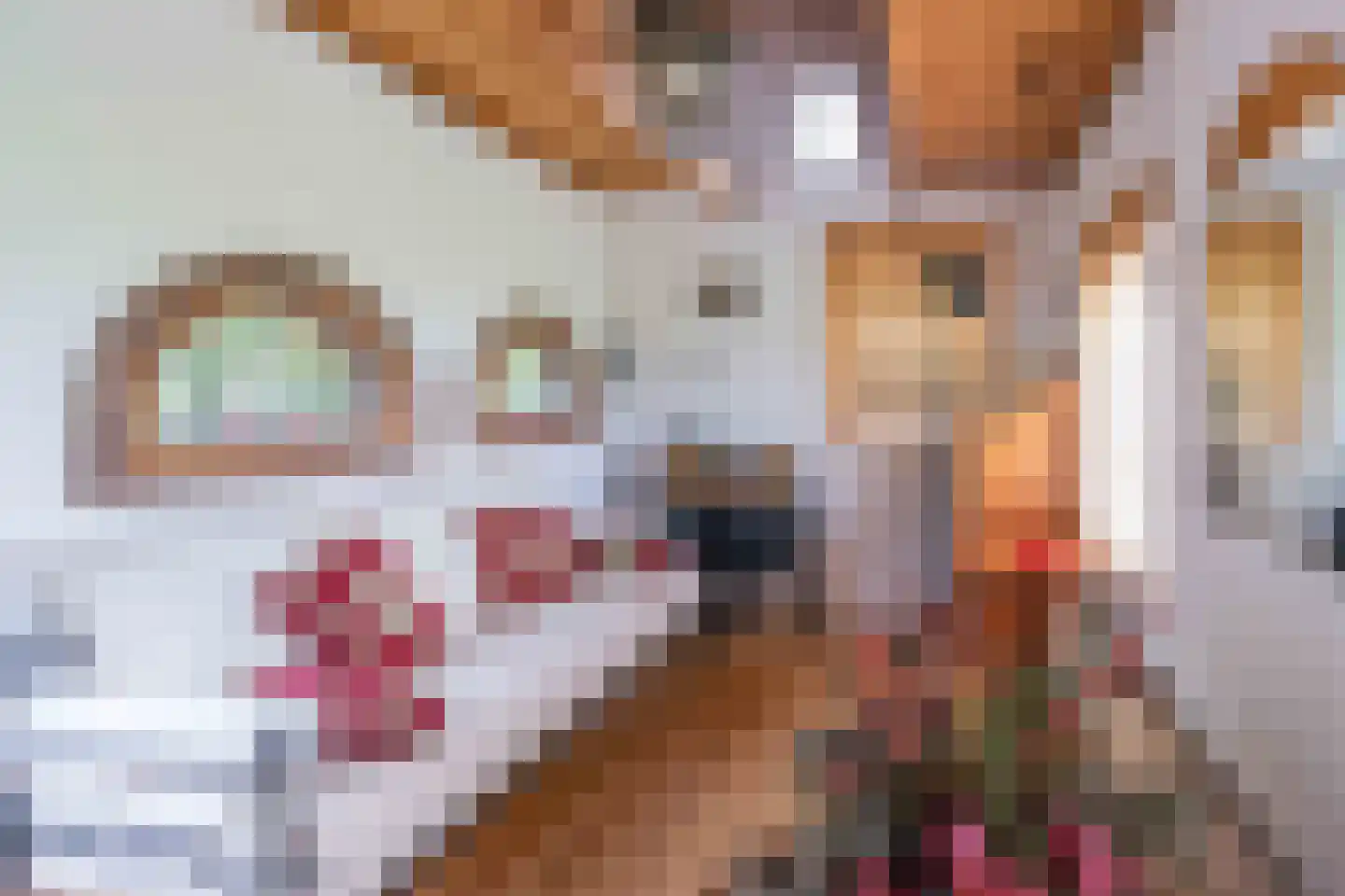 Zuid Bosweg 13 Noordgouwe thumbnail 25