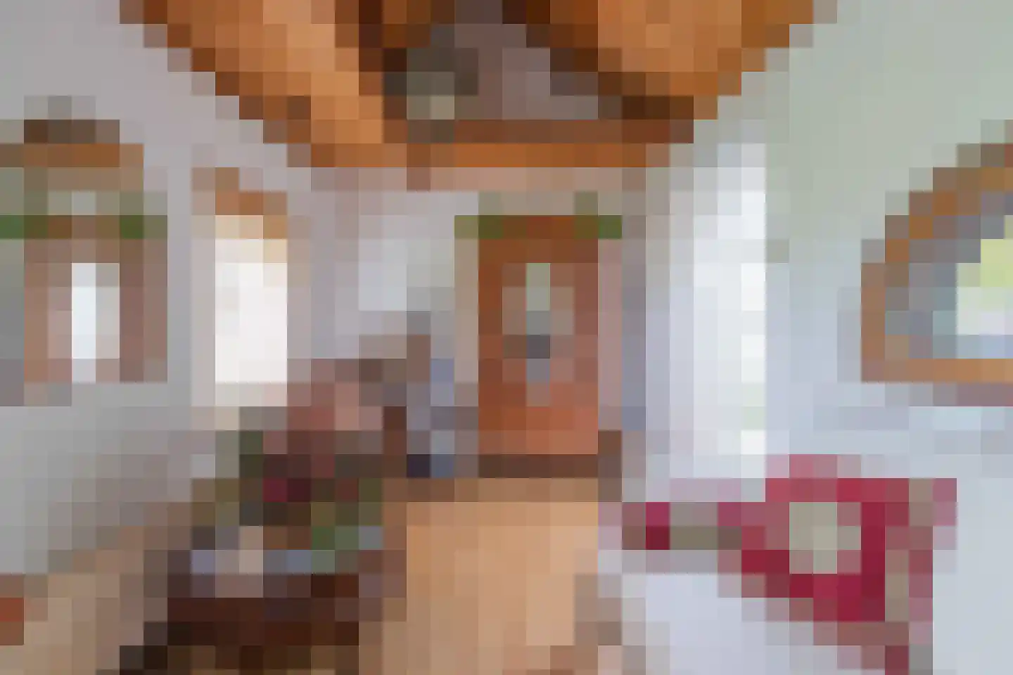 Zuid Bosweg 13 Noordgouwe thumbnail 26