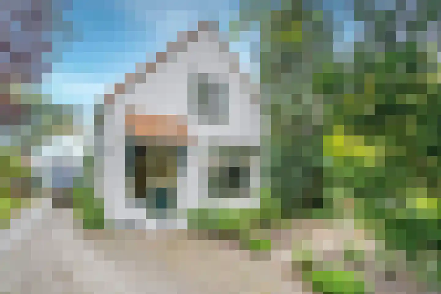 Zuid Bosweg 13 Noordgouwe thumbnail 27