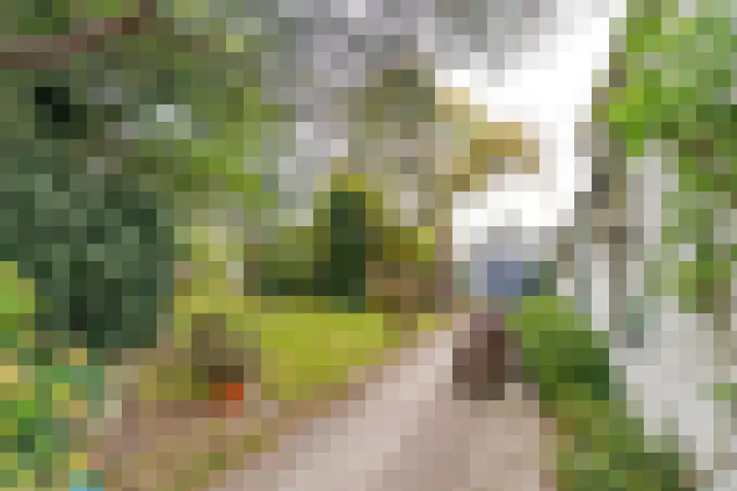 Zuid Bosweg 13 Noordgouwe thumbnail 29