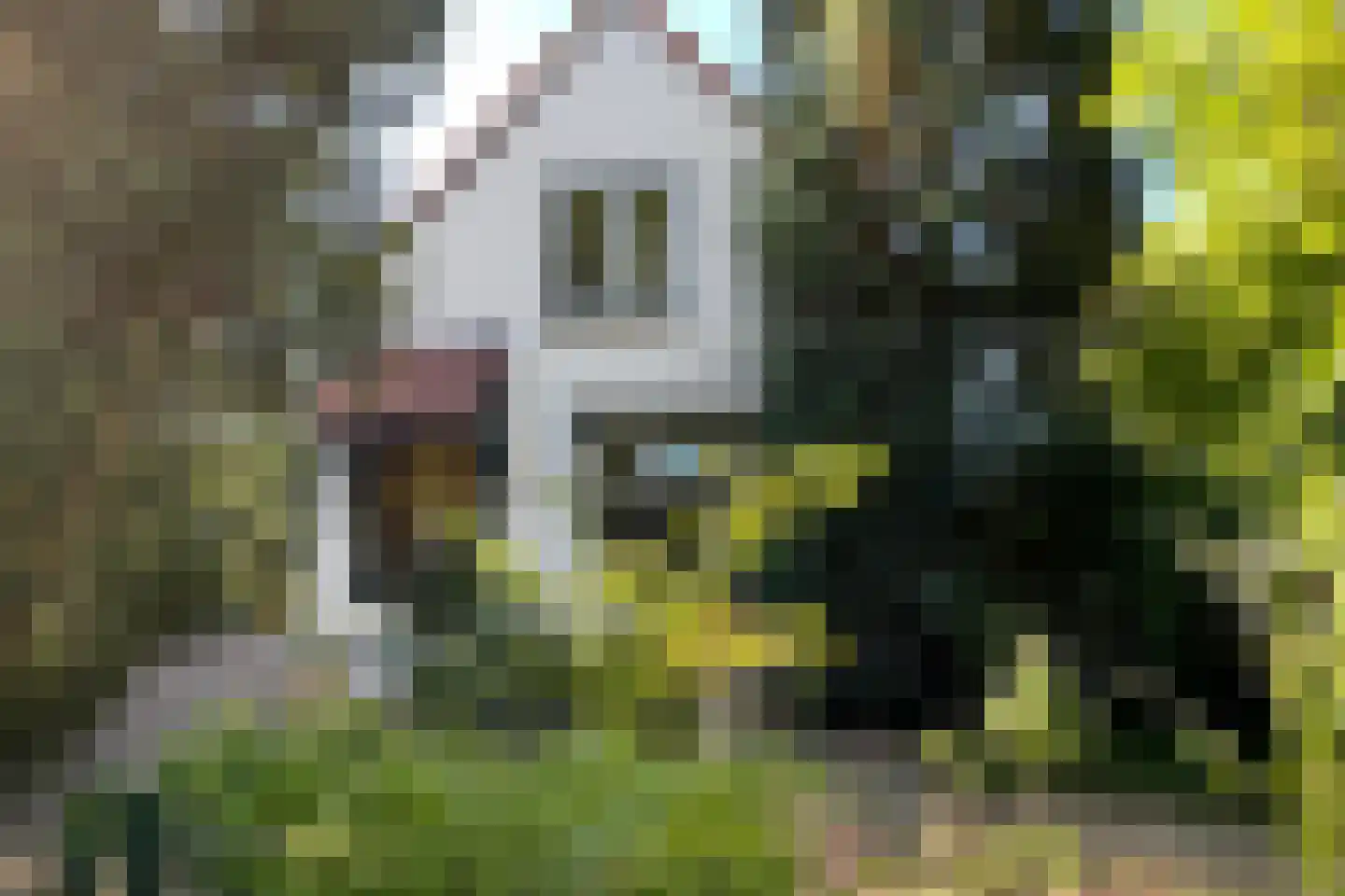 Zuid Bosweg 13 Noordgouwe foto 3