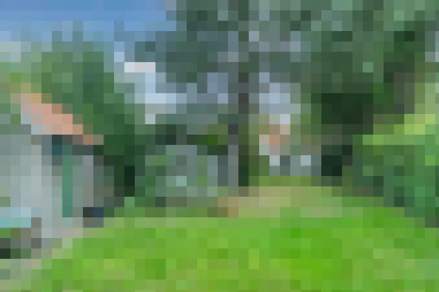 Zuid Bosweg 13 Noordgouwe thumbnail 30