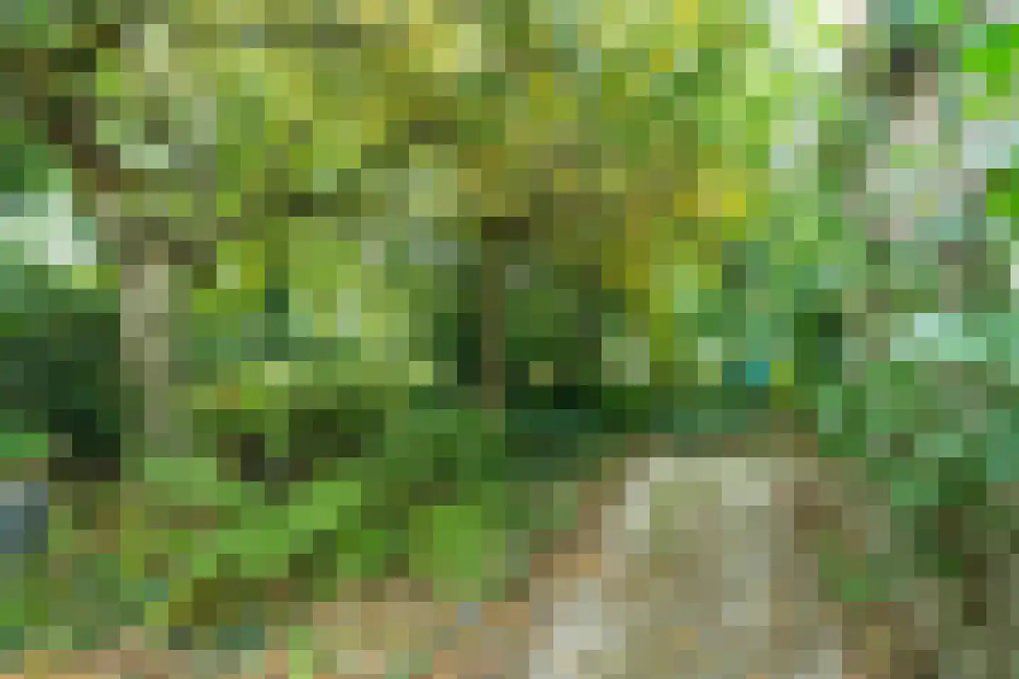 Zuid Bosweg 13 Noordgouwe thumbnail 31