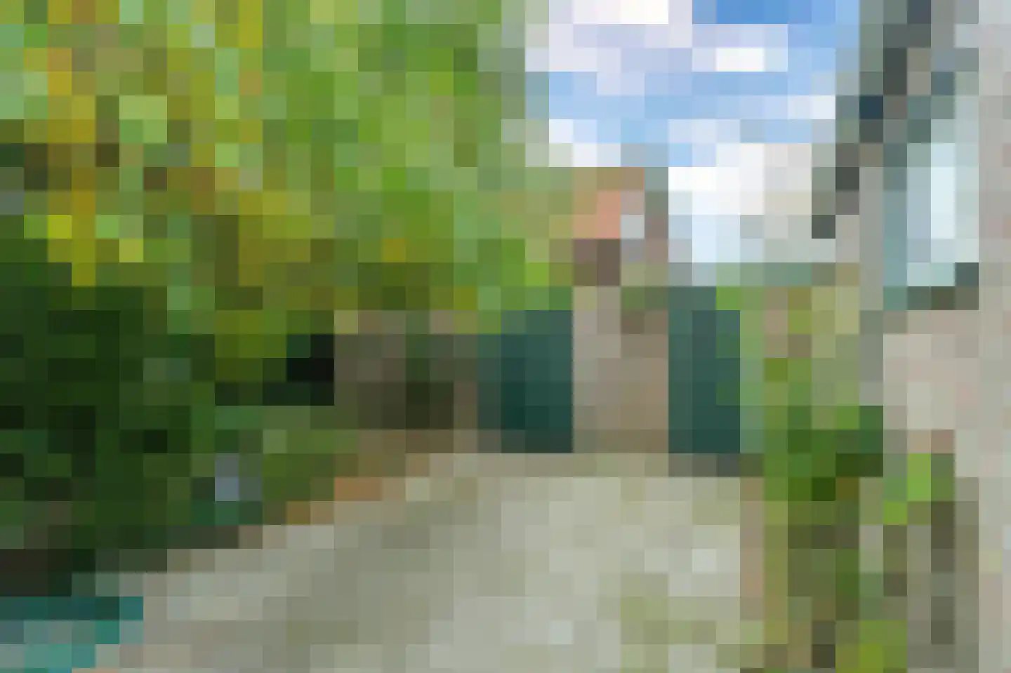 Zuid Bosweg 13 Noordgouwe thumbnail 33