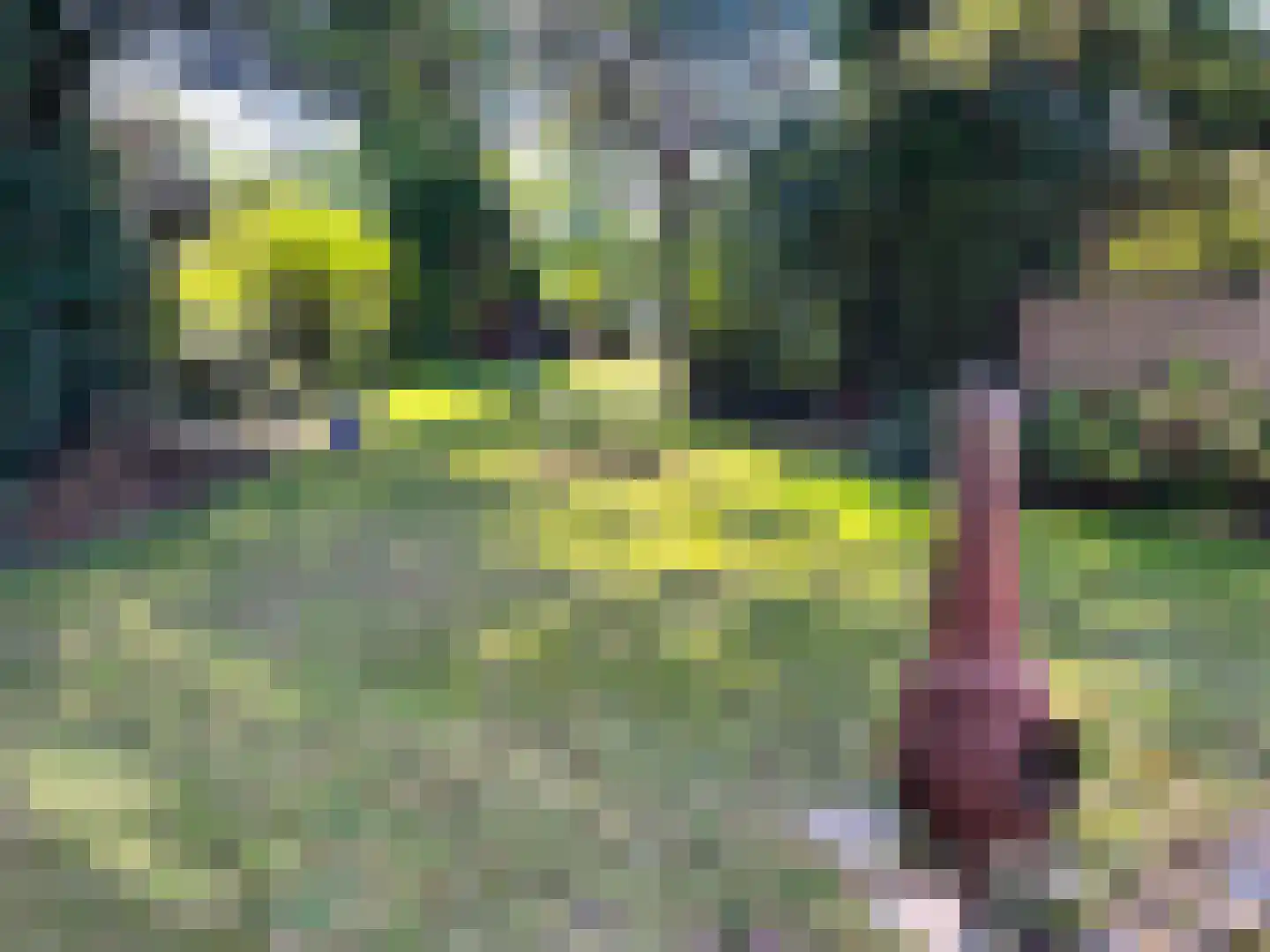 Zuid Bosweg 13 Noordgouwe thumbnail 34