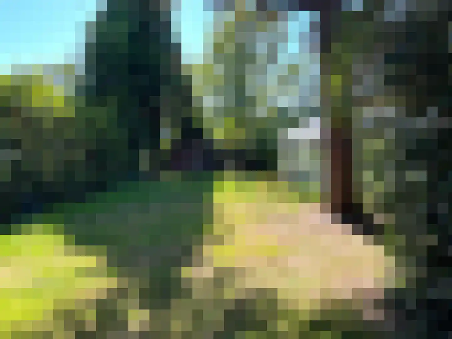 Zuid Bosweg 13 Noordgouwe thumbnail 35