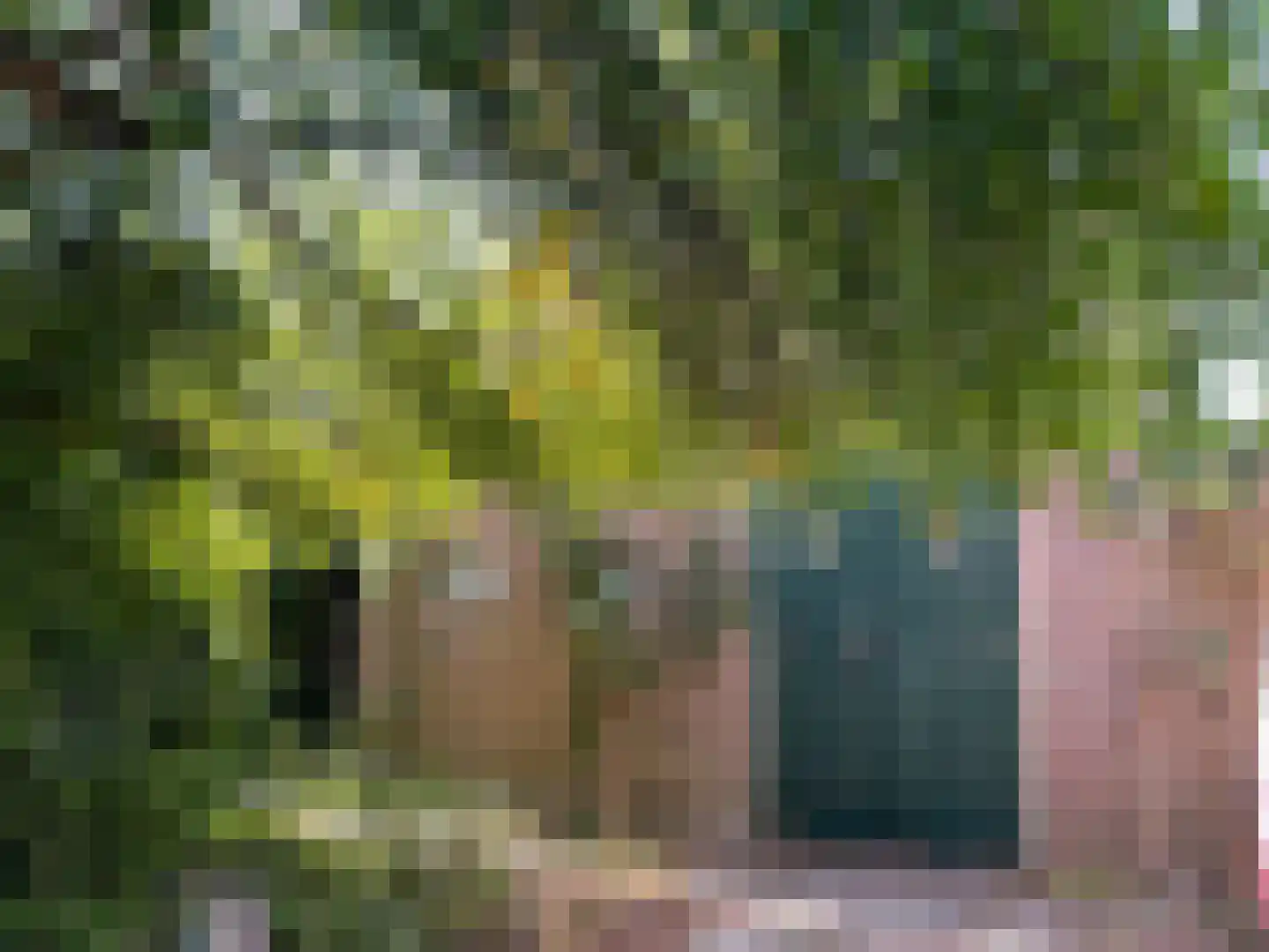 Zuid Bosweg 13 Noordgouwe thumbnail 36
