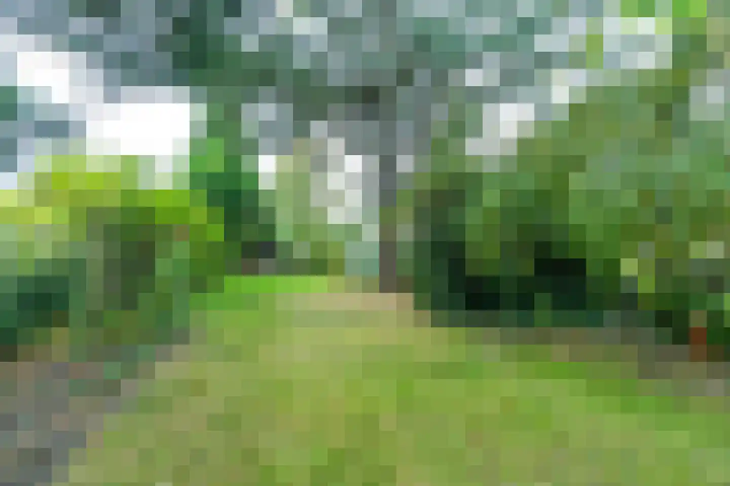 Zuid Bosweg 13 Noordgouwe thumbnail 37