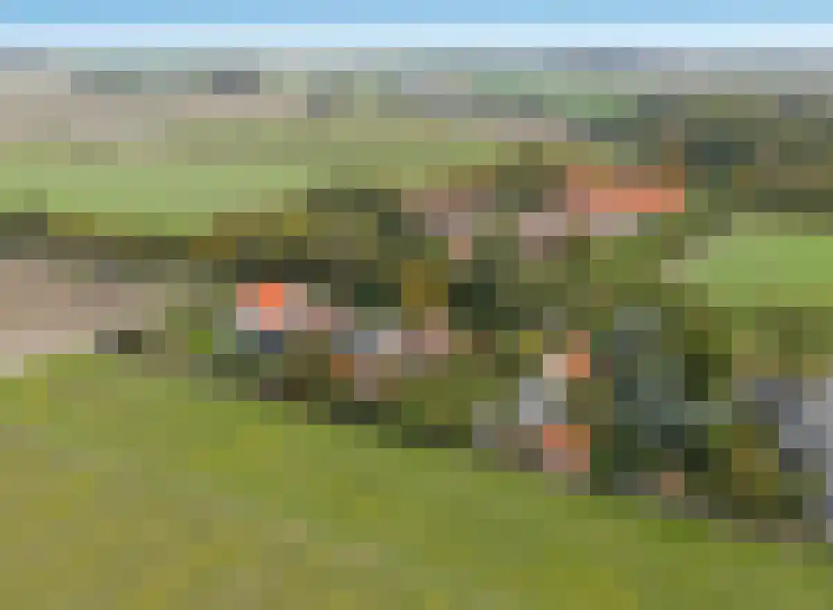 Zuid Bosweg 13 Noordgouwe thumbnail 38