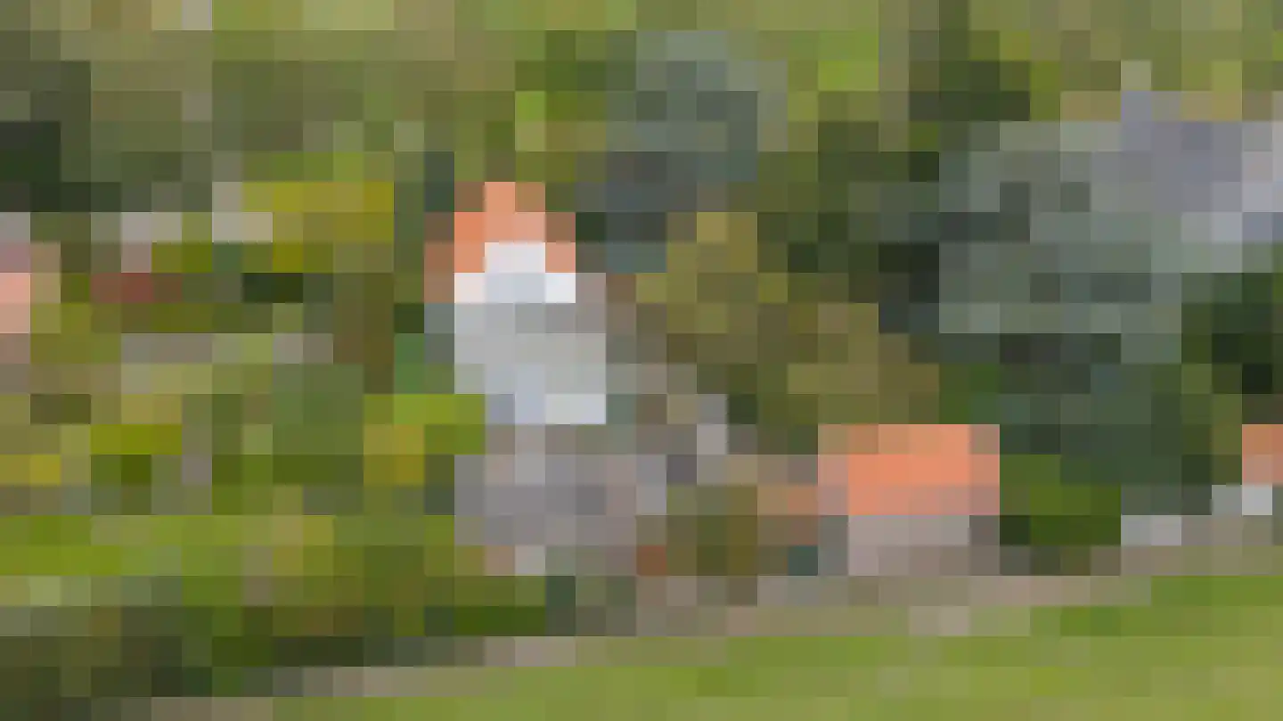 Zuid Bosweg 13 Noordgouwe thumbnail 39